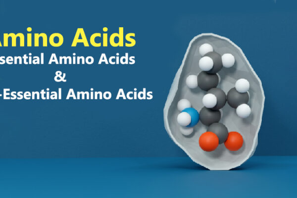 How many amino acids are there