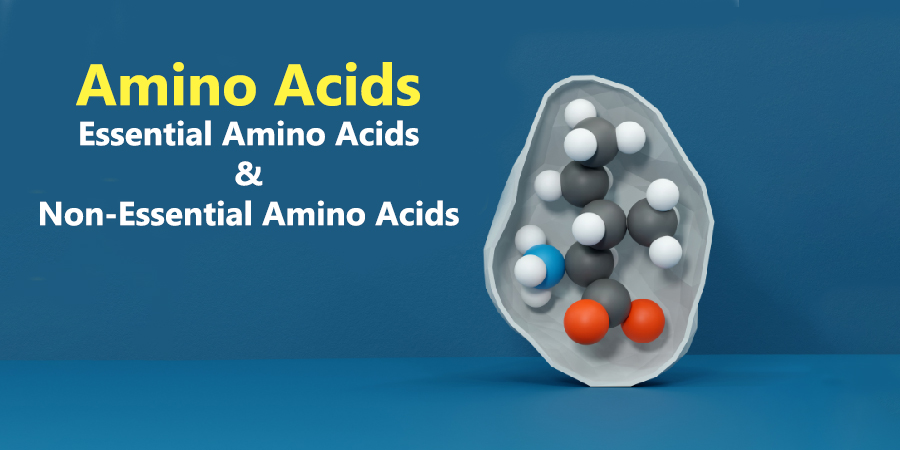 How many amino acids are there