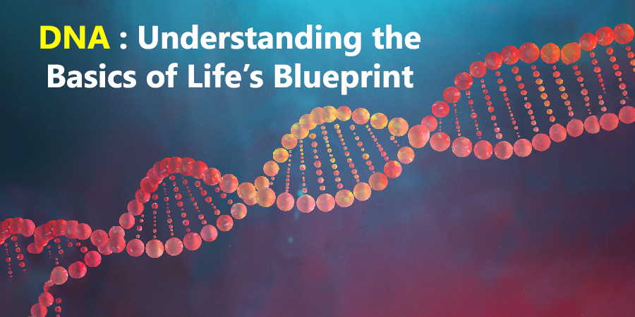What Does DNA Stand For
